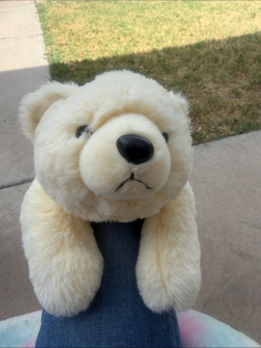 Plush Cream Polar Bear Stuffed Animal - Soft Cuddly Toy
